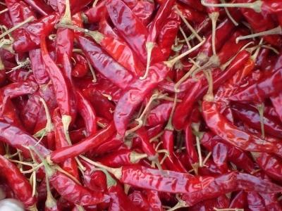 Dry-Red-Chilli
